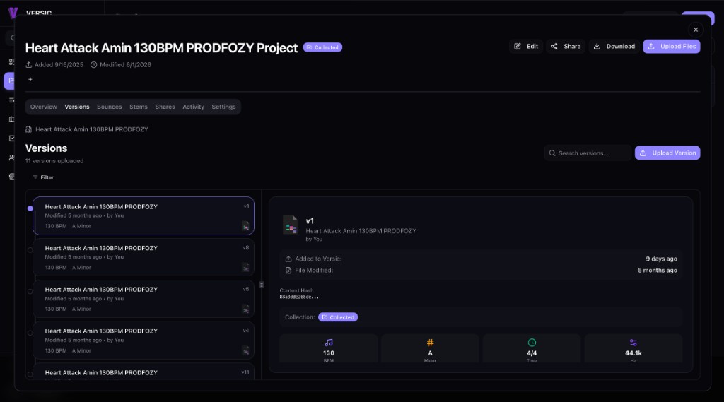 Versic project versions view
